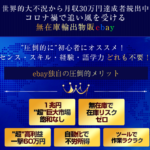 入家祐輔のベイストライク改