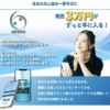 東條将輝のBESIDE