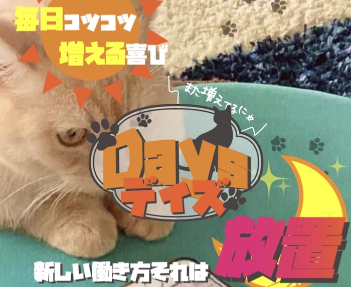 株式会社ゼニスのDays(デイズ)