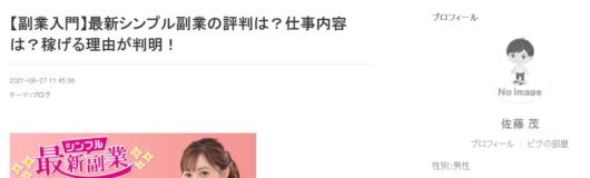 シンプル最新副業の良評判１