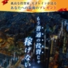 レインプログラム