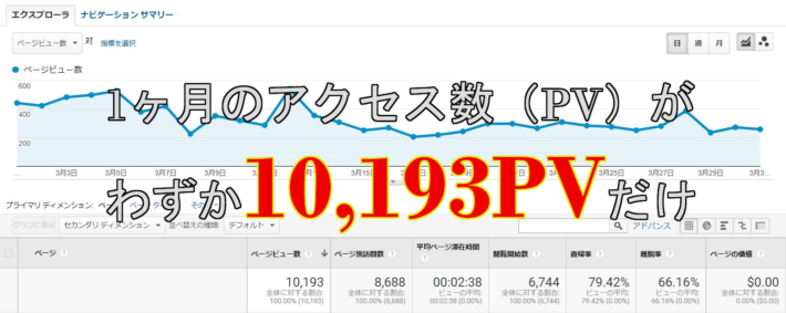 1ヶ月のアクセス数
