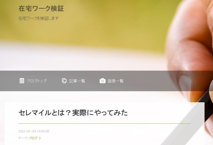 セレマイルを勧める記事２
