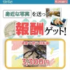 ランサー