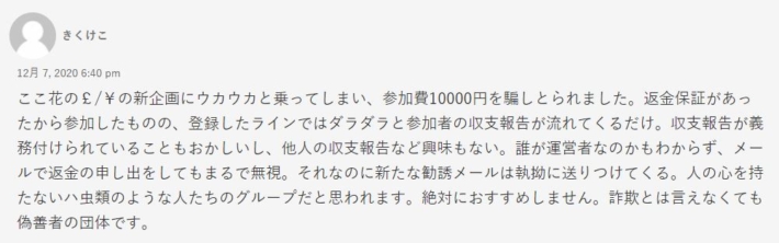 ここ花の口コミ２