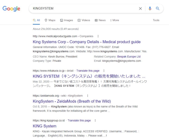 kingsystemの検索結果