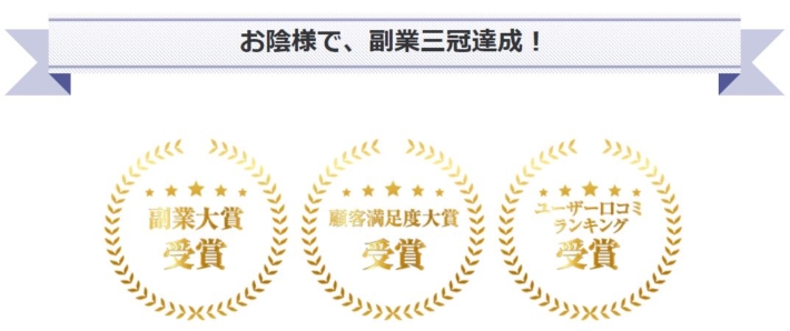 バズリッチの実績