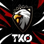 TKO 副業