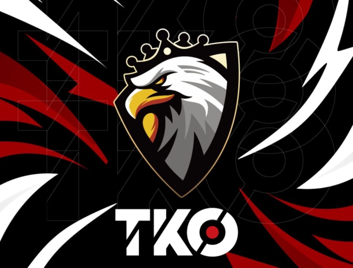 TKO 副業