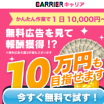 副業のキャリア