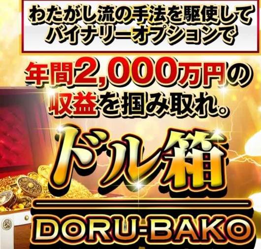 投資家わたがしのドル箱