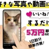 株式会社STAND UPの副業