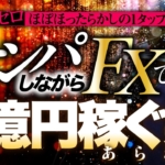 木村翔太の世界一気持ちいいFXの稼ぎ方